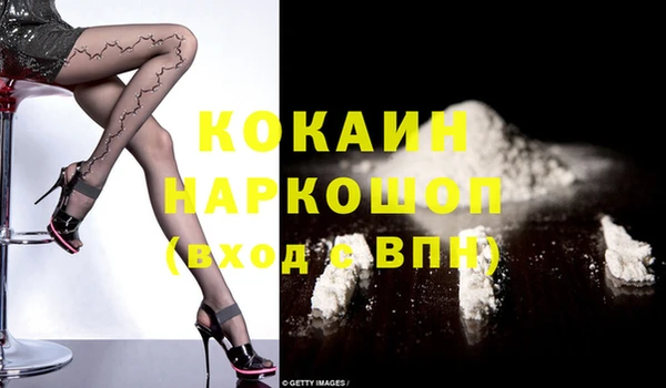 мяу мяу мука Баксан